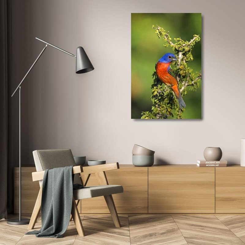 «Latitude Run®», peinture sur toile tendue par Dave, Tilden, perché dans un arbre, H 24 po x l 17 po