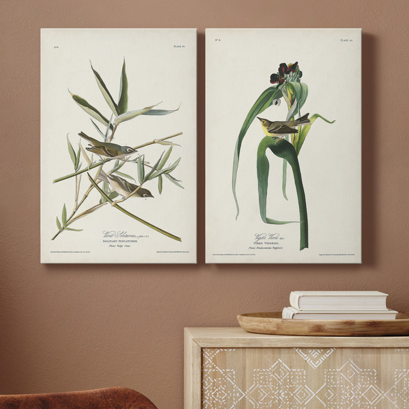" Pl. 28 Vireo Solitarius " 2 - Pieces Painting Print, 48" H x 36" W x 1" D