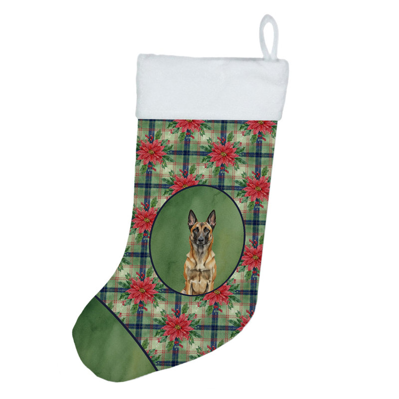 Chaussette de Noël belge Malinois