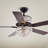 Caruthersville 52'' Ceiling Fan with Light Kit-486052512