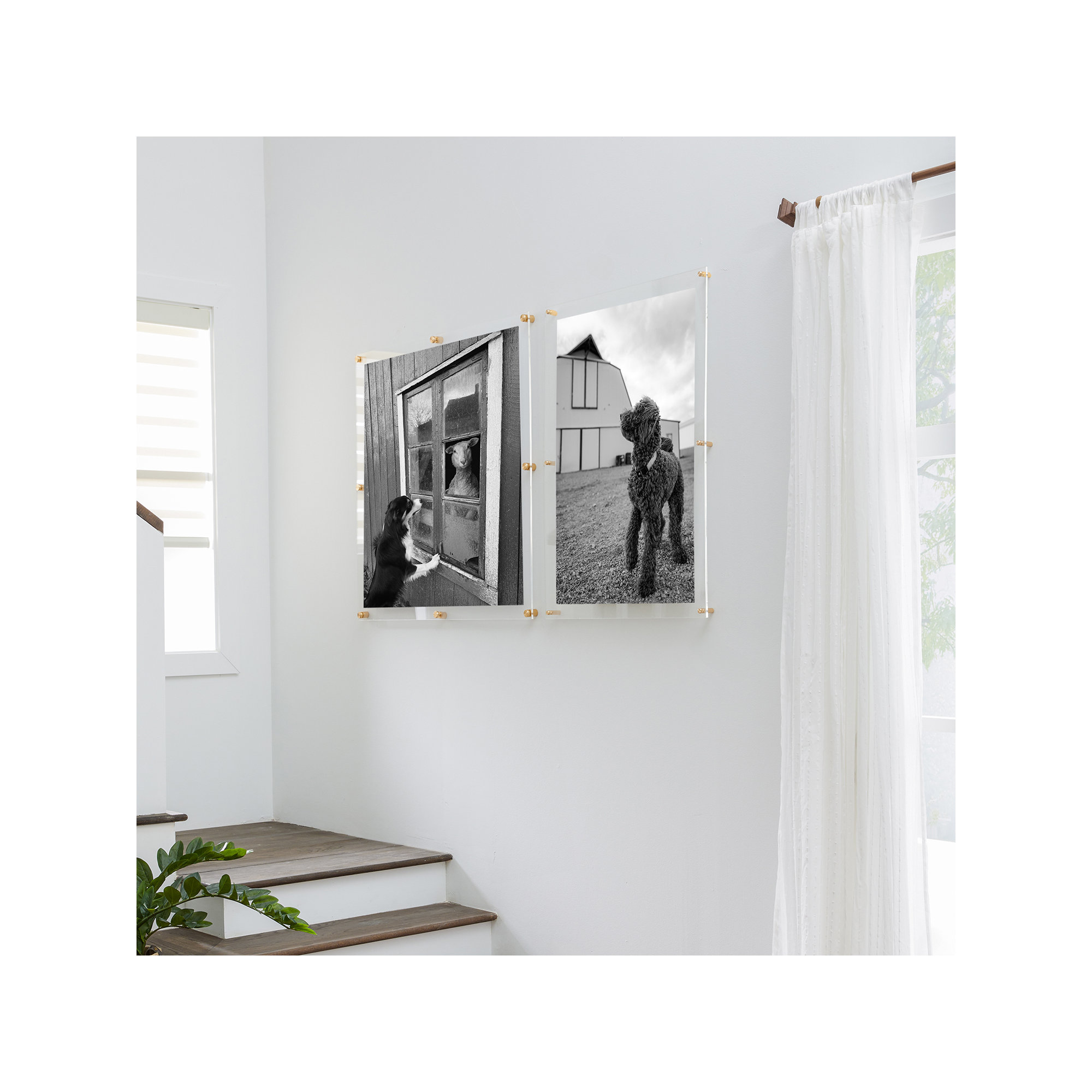 Double Panel Acrylic Picture Frame, Gold, 40" H x 40" W