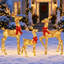Ensemble de famille de rennes de Noël 3 pièces avec 145 lumières DEL