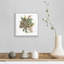 Spark Holiday Spirit - reproduction d'art sur toile-2009950097-2009950109