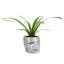 Vase de table en pot Face Pot-141806837-141806827