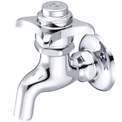 Wall Mounted Optional Single-handle Bathroom Faucet