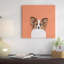Art sur toile tendue, "papillon (continental toy épagneul)"-74757702-74757703-74757704
