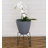 Clent Pot Planter-453852781-509738425