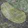 Premium Machine Washable Cerrito AMF556 Green Rug