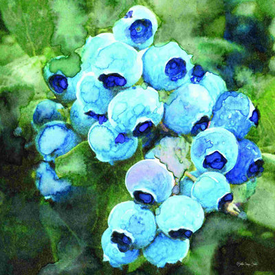 Bleuets 3