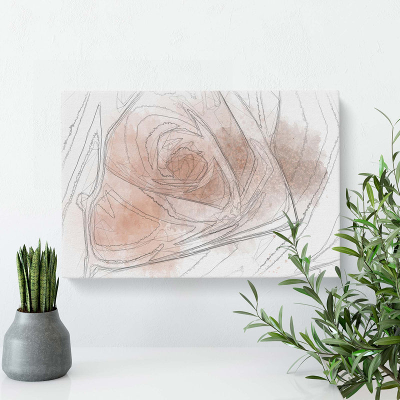 Light Pink Rose in Abstract - Wrapped Canvas Drawing - Wrapped Canvas, 35cm H x 50cm W x 3cm D