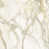 Calacatta Oro is out of stock selected