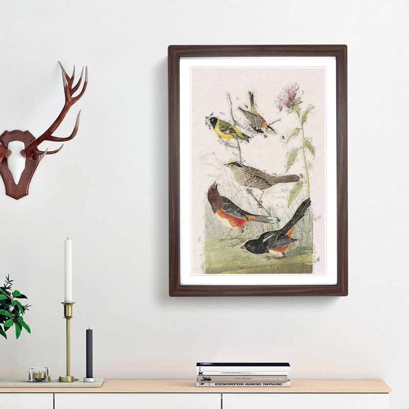 A Selection of Birds by John Audubon - Picture Frame Painting Print on Paper, 33cm H x 24cm W x 2cm D, Walnut Framed