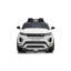 Voiture Range Rover Evoque-62260387