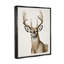 «Stupell Industries Elk Portrait Wildlife» par Grace Popp-91341328-91341332