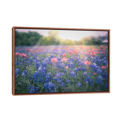 " Texas Bluebonnets " by Ann Hudec