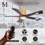 Ventilateur de plafond à 5 pales DEL avec ensemble d'éclairage inclus Irene-139126705-190434782-190528878