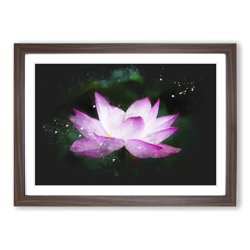 Pink Water Lily Flower Vol.2 - Picture Frame Graphic Art, Walnut Framed, 48cm H x 65cm W x 2cm D