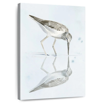 Brampt Sandpiper Reflections I