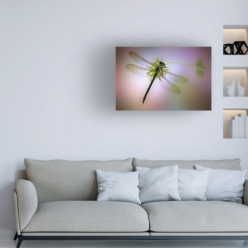 Jimmy Hoffman Libaulamlula Canvas Art, 16" H x 24" W