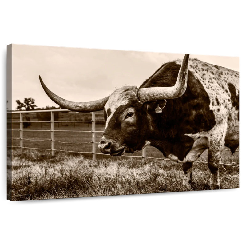 Brampt Sepia Longhorn, 34" H x 51" W