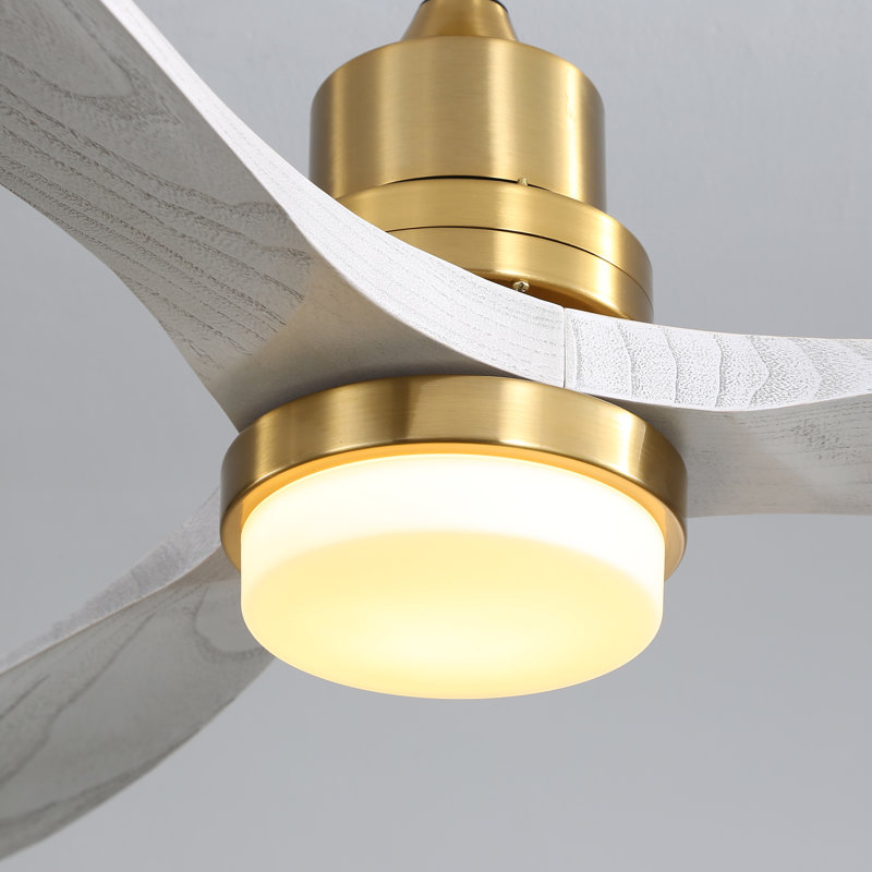 Nicola 52'' 3 - Blade Modern Ceiling Fan with Remote Control and Light Kit, Gold/Light Gray Blades