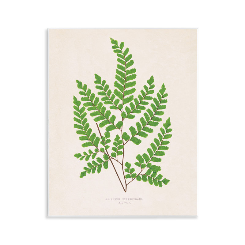 Plaque murale Woodland Sprig Study, par Phillipa Katz