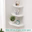 Bordie 2 Piece Floating Shelf