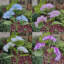 Lumières florales multicolores - panneau solaire à haute efficacité, temps de travail de 8 à 10 heures pour la décoration de jardin de cour / pelouse / allée incontournable