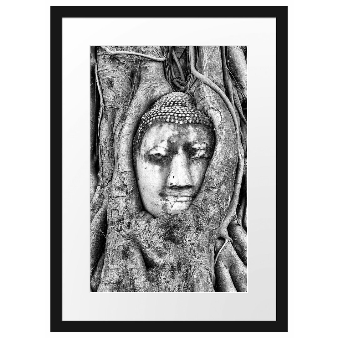 Gerahmtes Poster Buddha Kopf im Baum