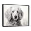 Caniche Pizazz sur toile-214097674-214097677