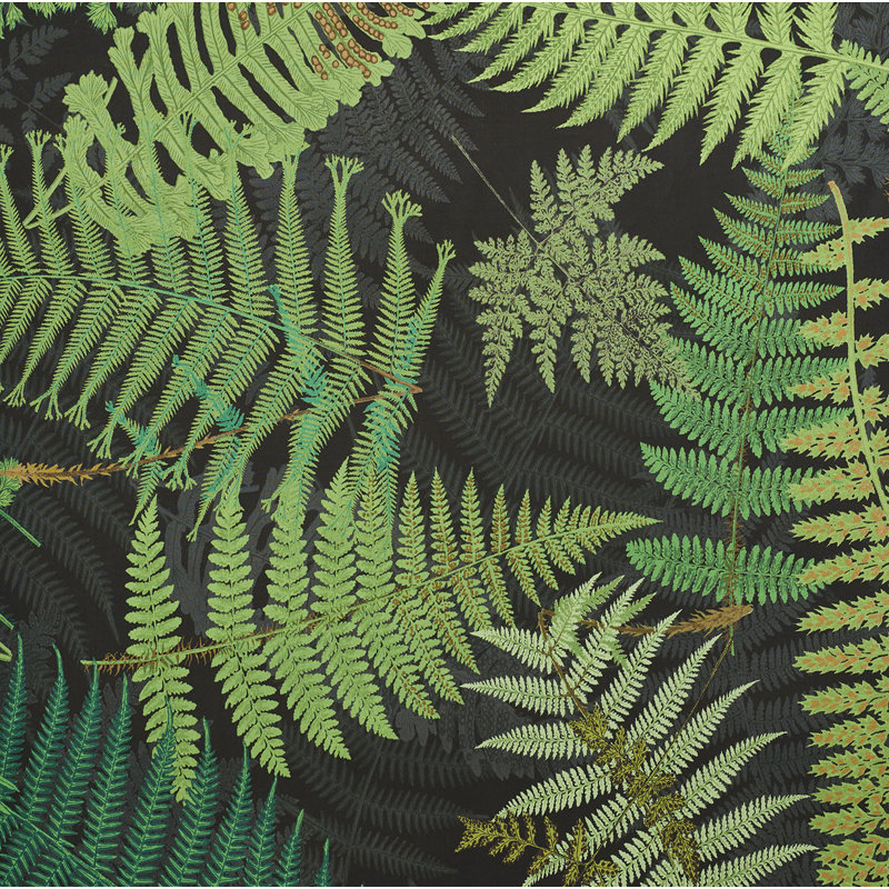 Schumacher x Clements Ribeiro Fernarium Fabric, Green/Black