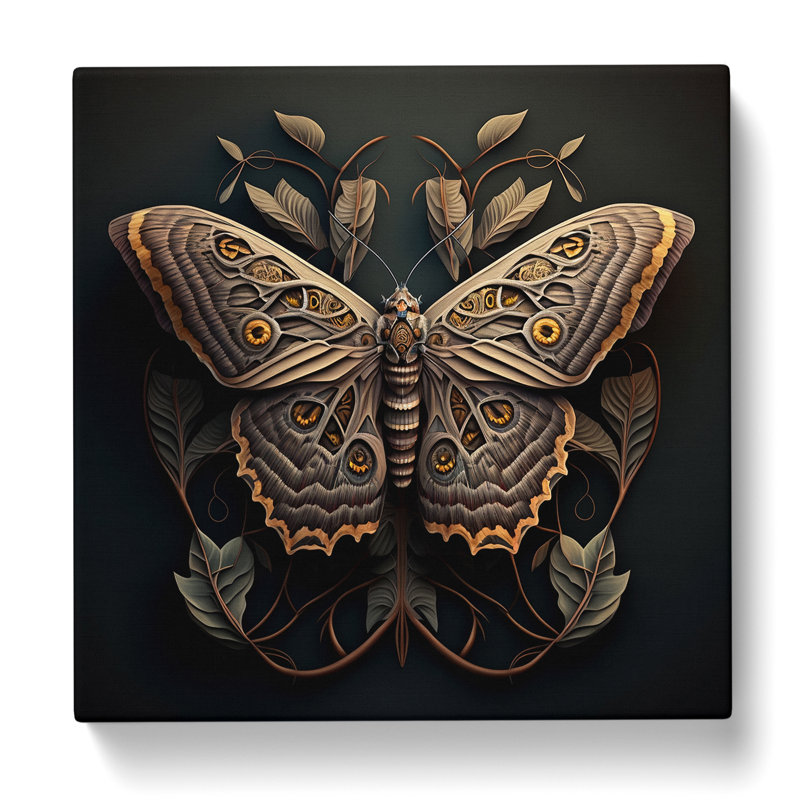 Moth Ornamental - Wrapped Canvas, 35cm H x 35cm W x 3cm D