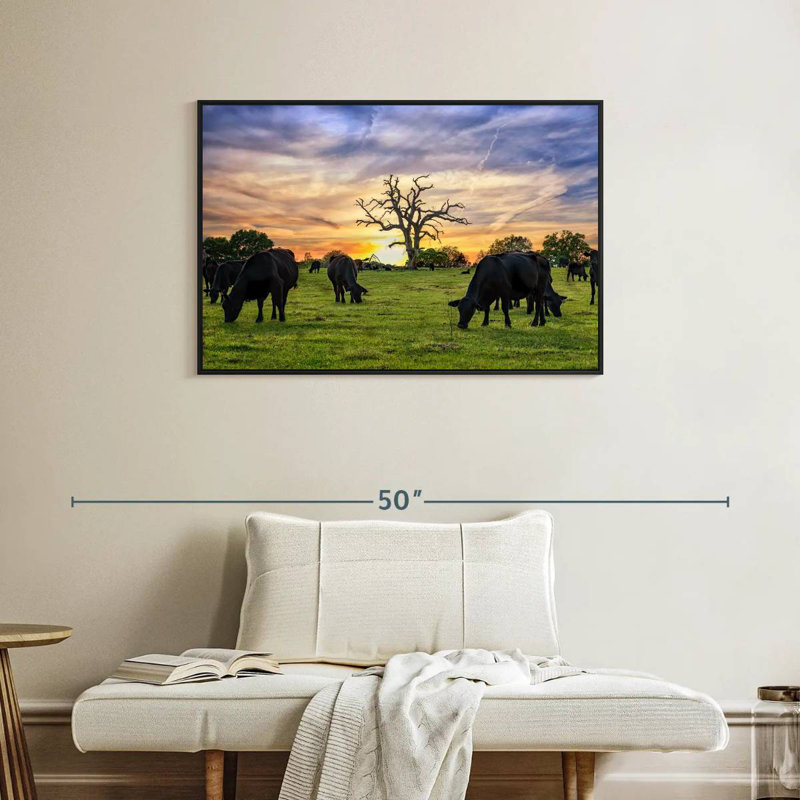 Pâturages Aberdeen Angus, Cadre flottant noir, 37 po x 25 po