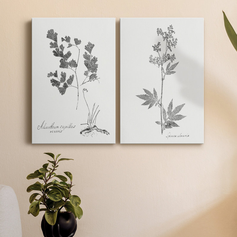 «Botanical Imprint I», toile tendue avec châssis de qualité supérieure - prête à être accrochée, H 27 po x l 16 po x P 1 po