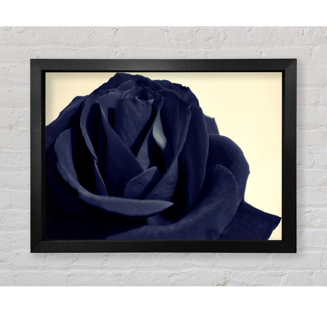 Schwarz Blaue Rose - Druck