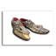  «Alligator Shoes» par John Hovenstine, art mural en verre acrylique, 16 po x 12 po