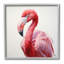 «Traditional Flamingo Portrait», estampe numérique par RB-98909648-98909649