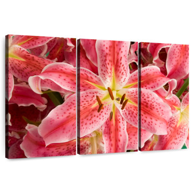 Harnek Stargazer Lily Flowers
