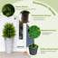 55cm Faux Pine Plant in Pot