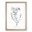 Purple Phlox Flowers - Framed Print-55616176-55616180