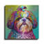 «Rainbow Shih Tzu» par Dean Russo, art mural en métal-303692780