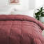 Insert de couette toutes saisons en plumes d'oie de coton biologique Puredown-120704035-87748960
