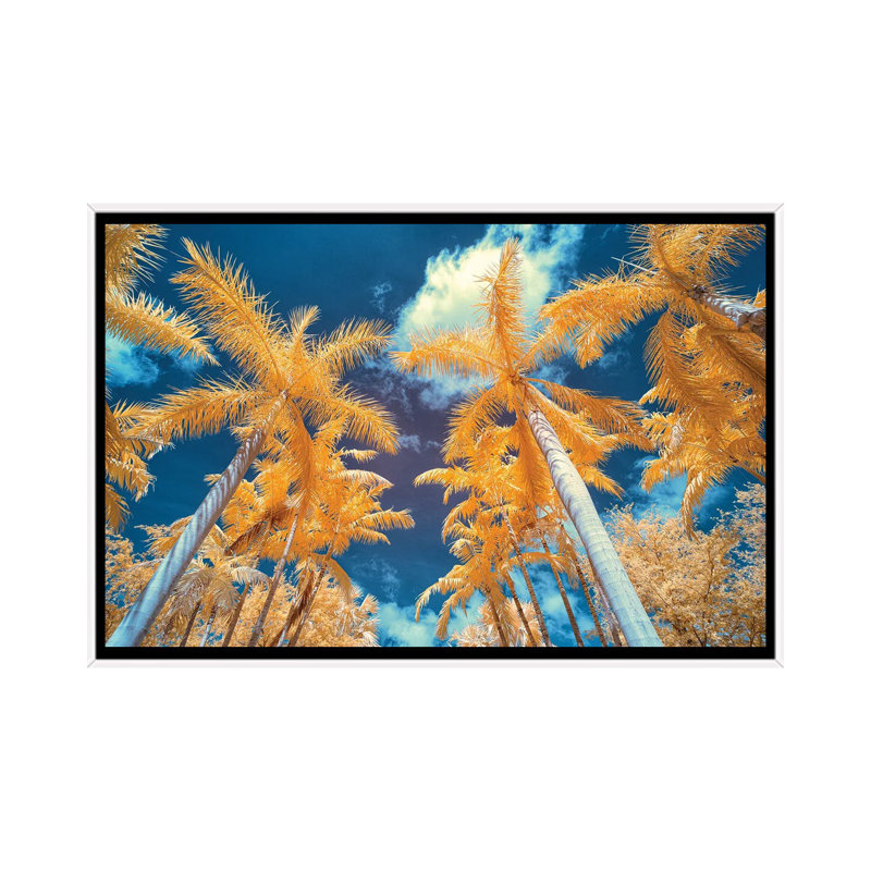 Palm Tree I by Glauco Meneghelli - Floater Frame Print on Canvas