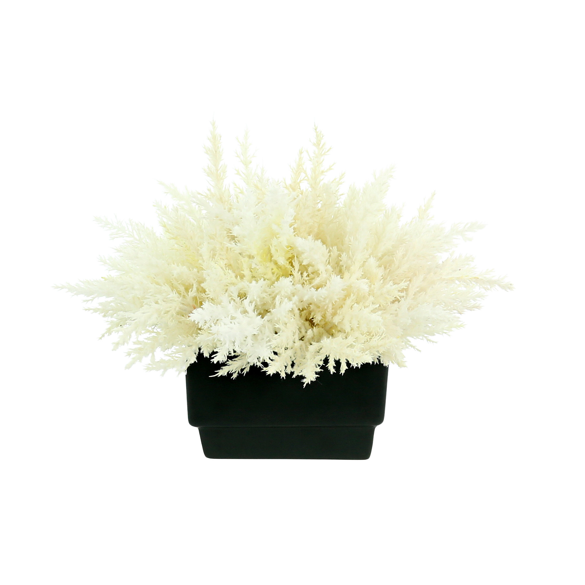 Pampas Floral Arrangement in Vase, Black/White, 13" H x 16" W x 16" D