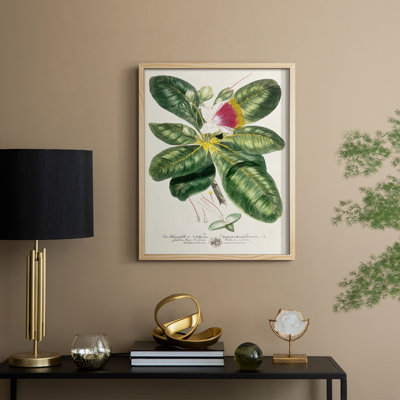 «Imperial Tropical Botanical I», reproduction encadrée - bois massif