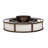 Daneisha 30'' Ceiling Fan with LED Lights