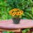 Ailynn Round Imperial Ceramic Outdoor Planter-1857609949-1857609945