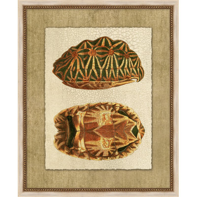 Neutral Turtle 4 Painting