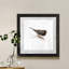 Mixed signaux IV-reproduction d’art sur papier encadrée-925224895-925224768
