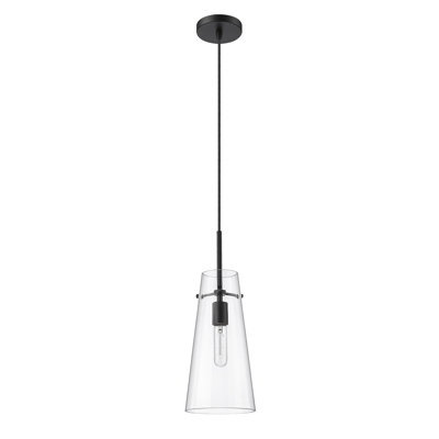 Wenka 1 - Light Cone Pendant